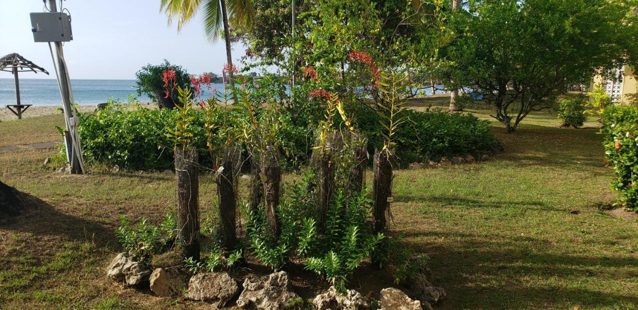 ホテル Starfish Tobago Black Rock エクステリア 写真