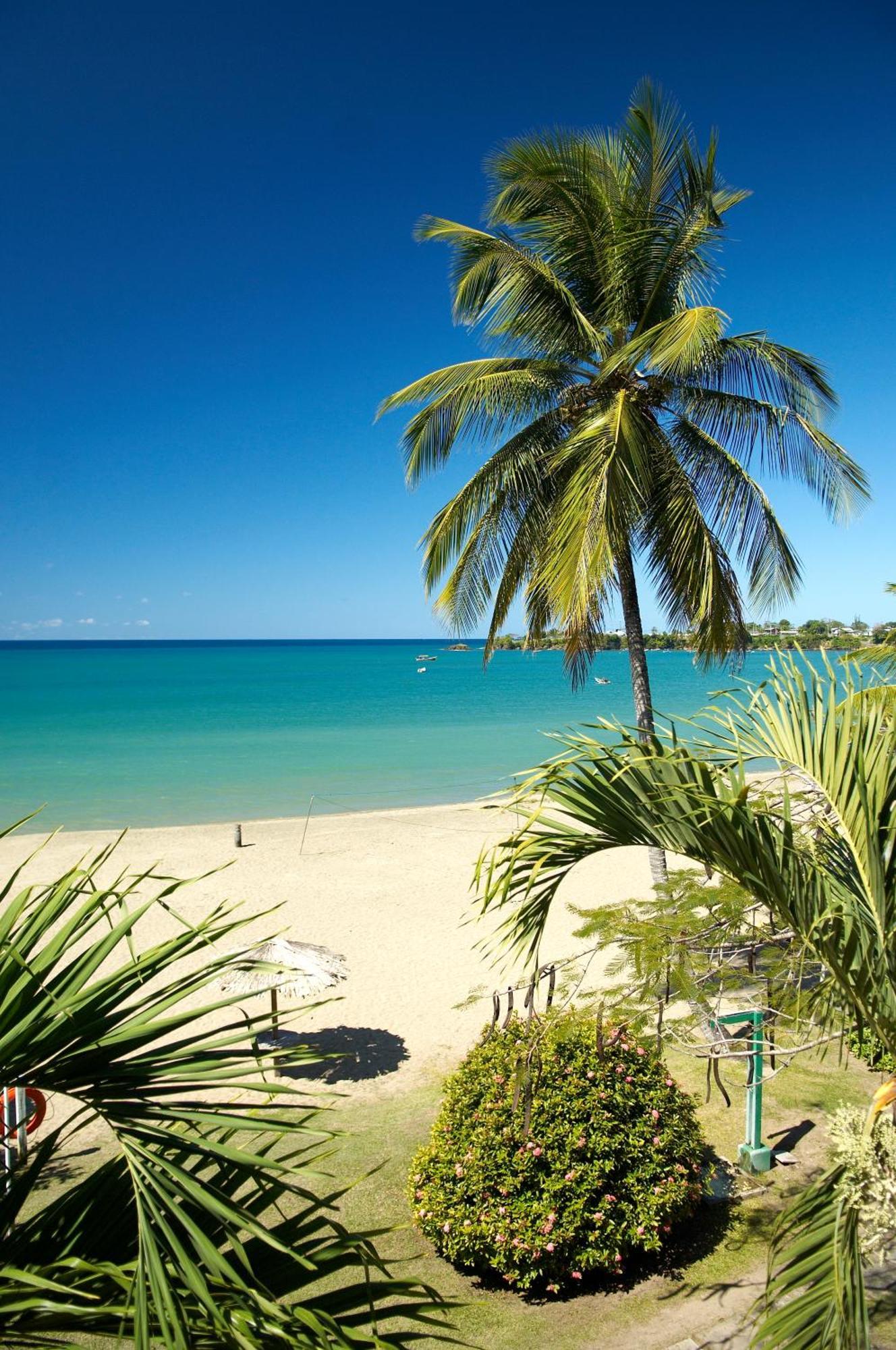 ホテル Starfish Tobago Black Rock エクステリア 写真
